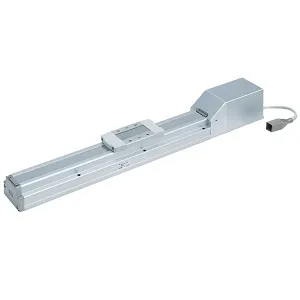 SMC LEFS25REB-300B-R8C5181 