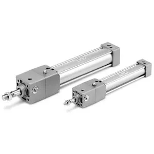 SMC MDNBG40-100-D 