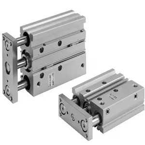 SMC MGPA100-300-RN 